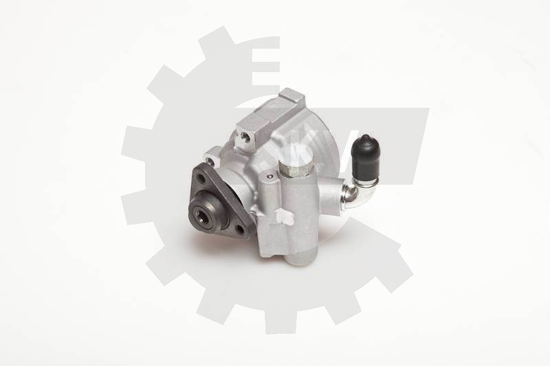 Črpalka servo volana 10SKV003