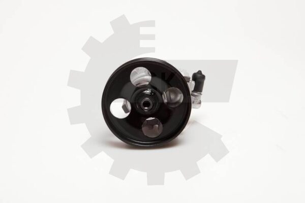 Črpalka servo volana 10SKV100