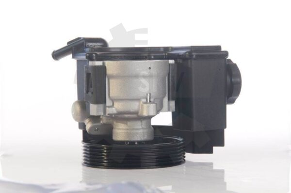 Črpalka servo volana 10SKV171
