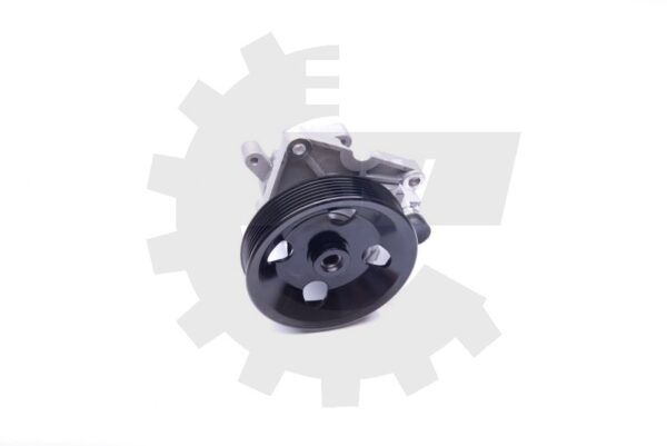 Črpalka servo volana 10SKV192