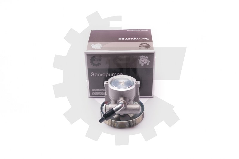 Črpalka servo volana 10SKV218
