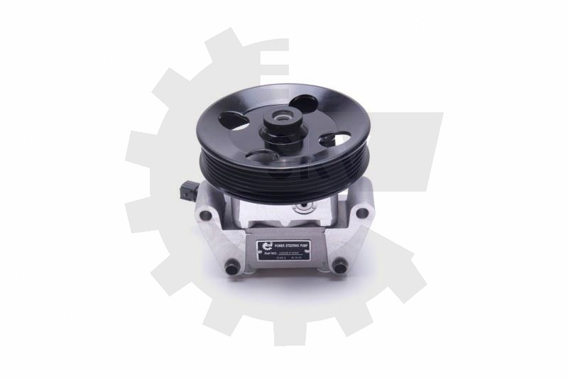 Črpalka servo volana 10SKV306