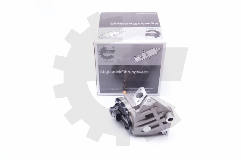 EGR ventil 14SKV087