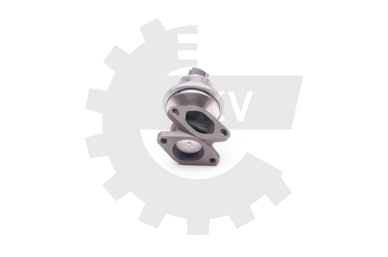 EGR ventil 14SKV129
