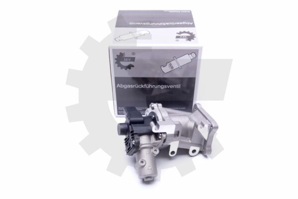 EGR ventil 14SKV171