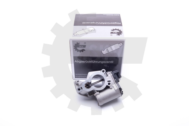 EGR ventil 14SKV184