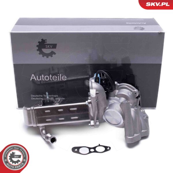 EGR ventil 14SKV238