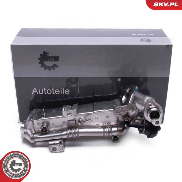 EGR ventil 14SKV239