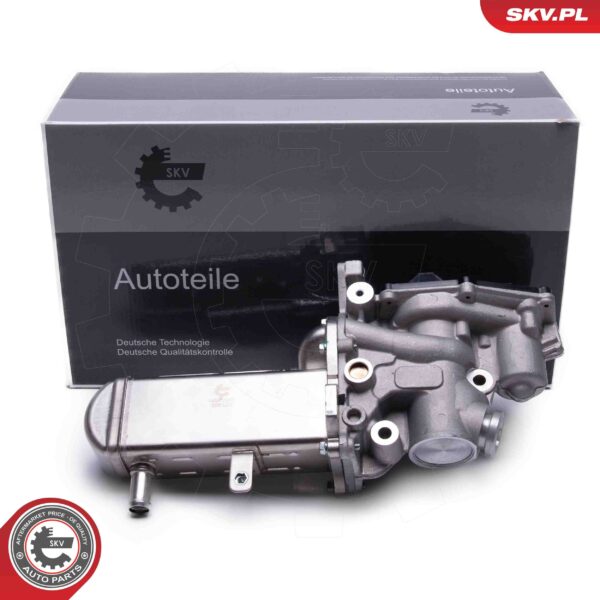 EGR ventil 14SKV241