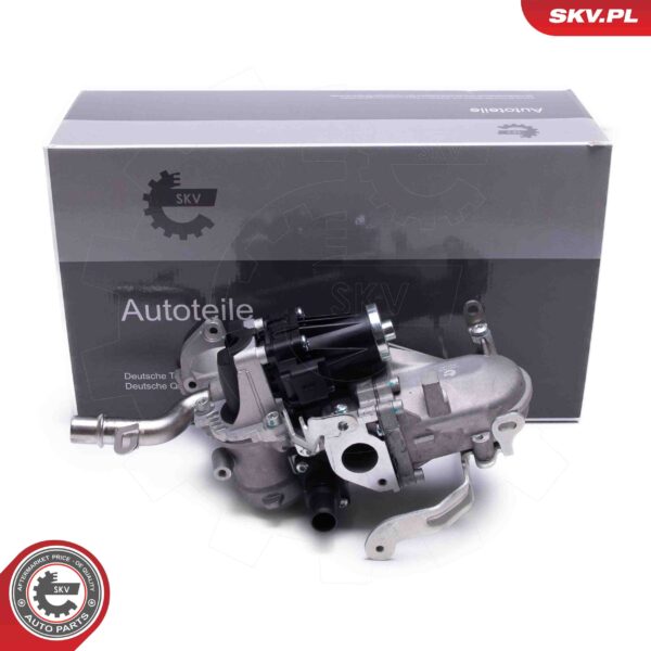 EGR ventil 14SKV244