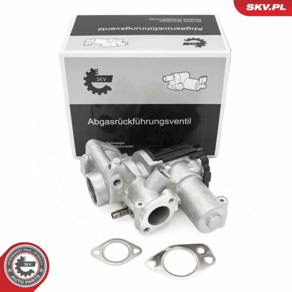 EGR ventil 14SKV253