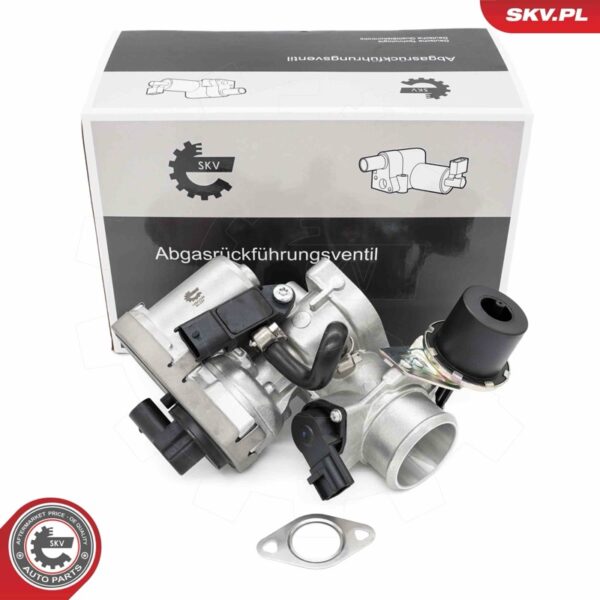 EGR ventil 14SKV256
