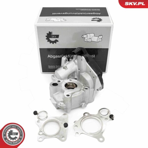 EGR ventil 14SKV259
