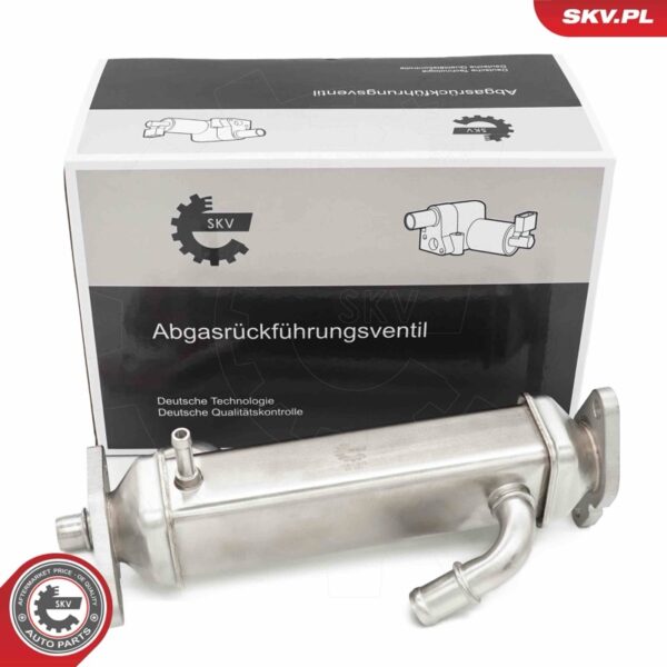 EGR ventil 14SKV273