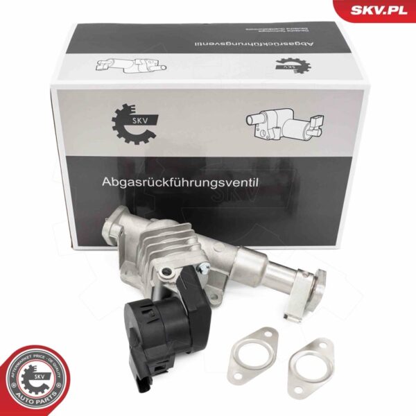 EGR ventil 14SKV287
