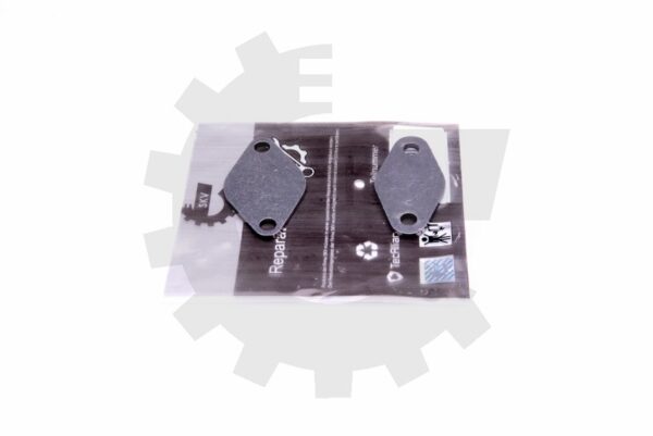 Komplet za popravilo EGR 14SKV529