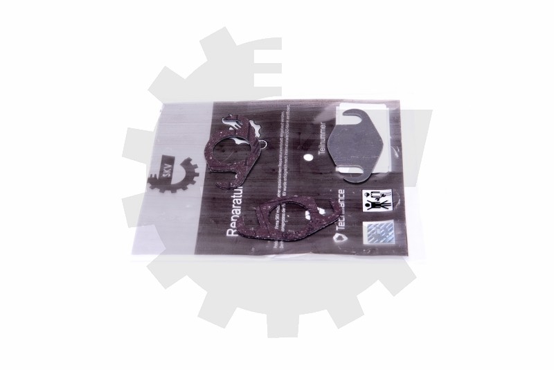 Komplet za popravilo EGR 14SKV558