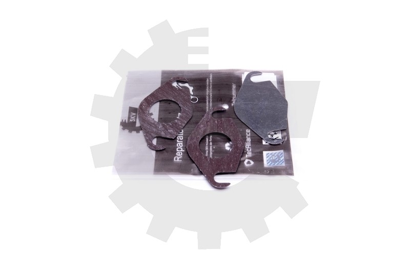 Komplet za popravilo EGR 14SKV577