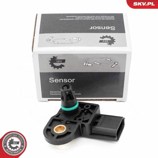 Senzor zemljevida 17SKV190