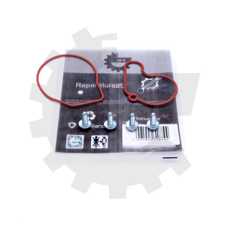 Komplet za popravilo 18SKV807