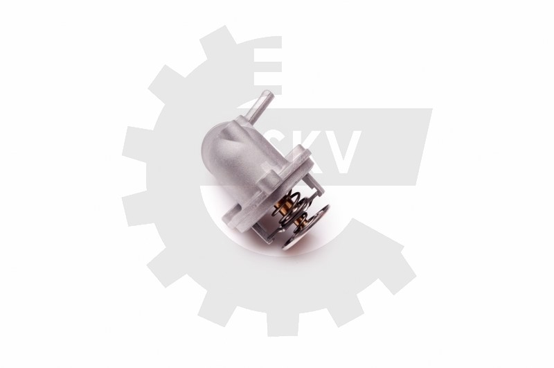 Termostat 20SKV049