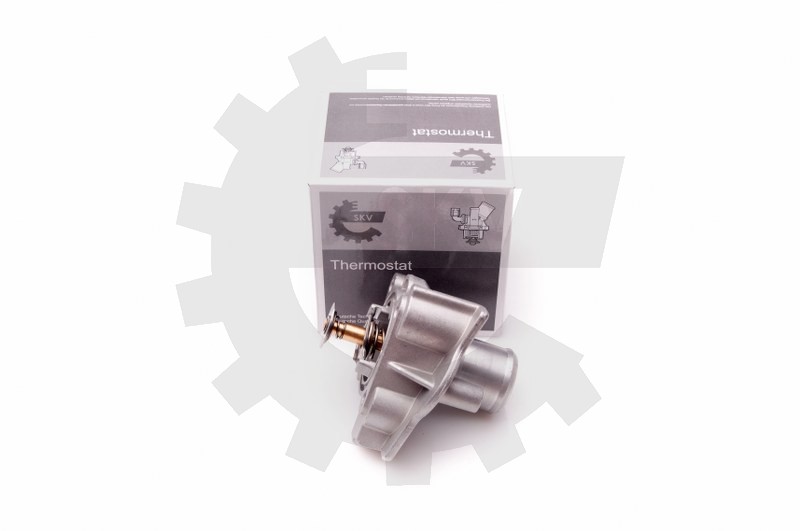 Termostat 20SKV069