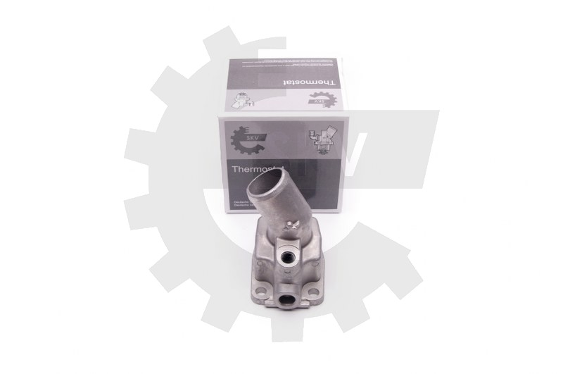 Termostat 20SKV079