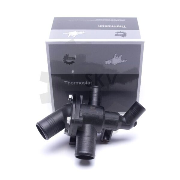Termostat 20SKV189