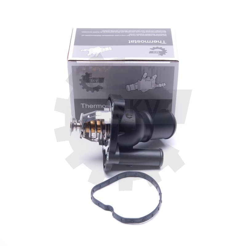 Termostat 20SKV194