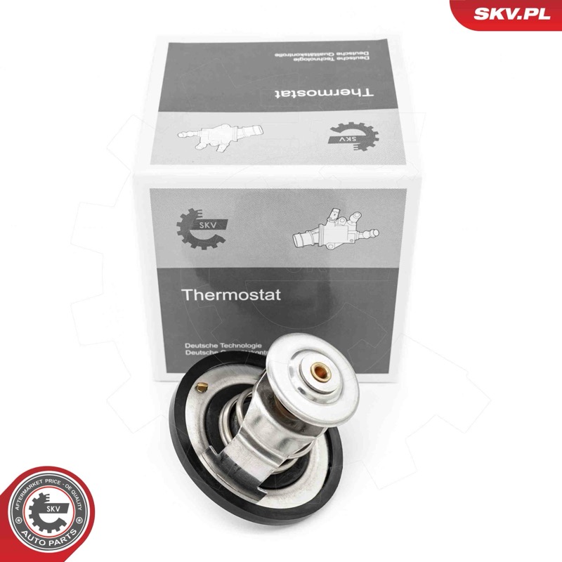 Termostat 20SKV219