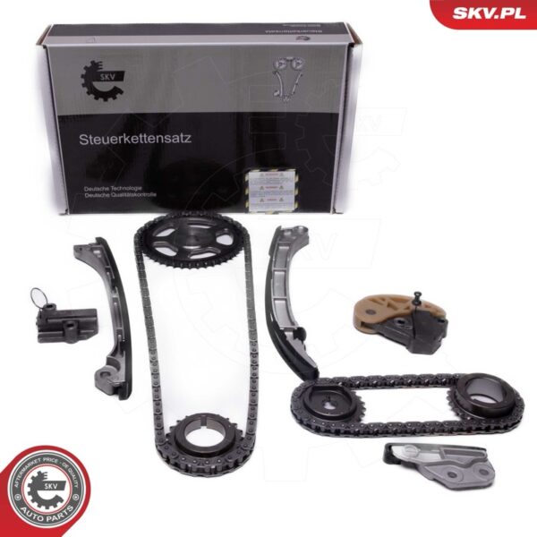 Komplet krmilne verige 21SKV250